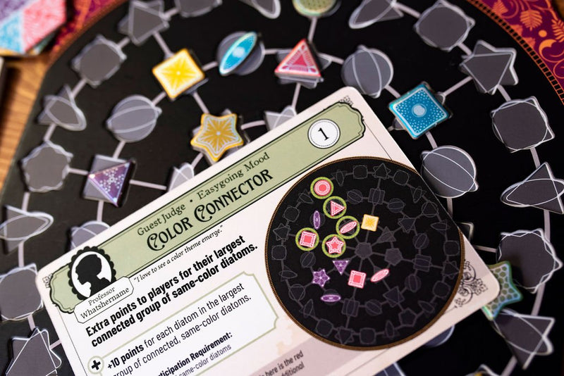 Diatoms-zoom-