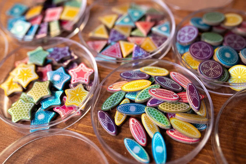 Diatoms-12