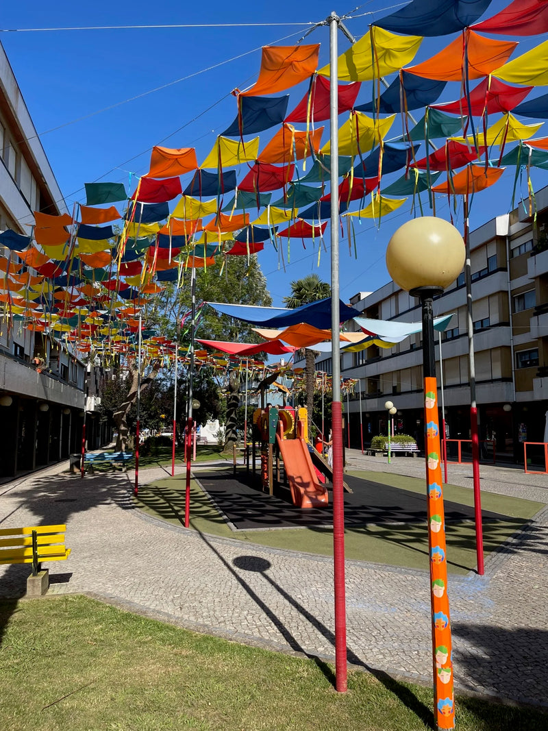 Agueda: City of Umbrellas-zoom-