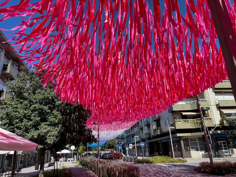 Agueda: City of Umbrellas-zoom-