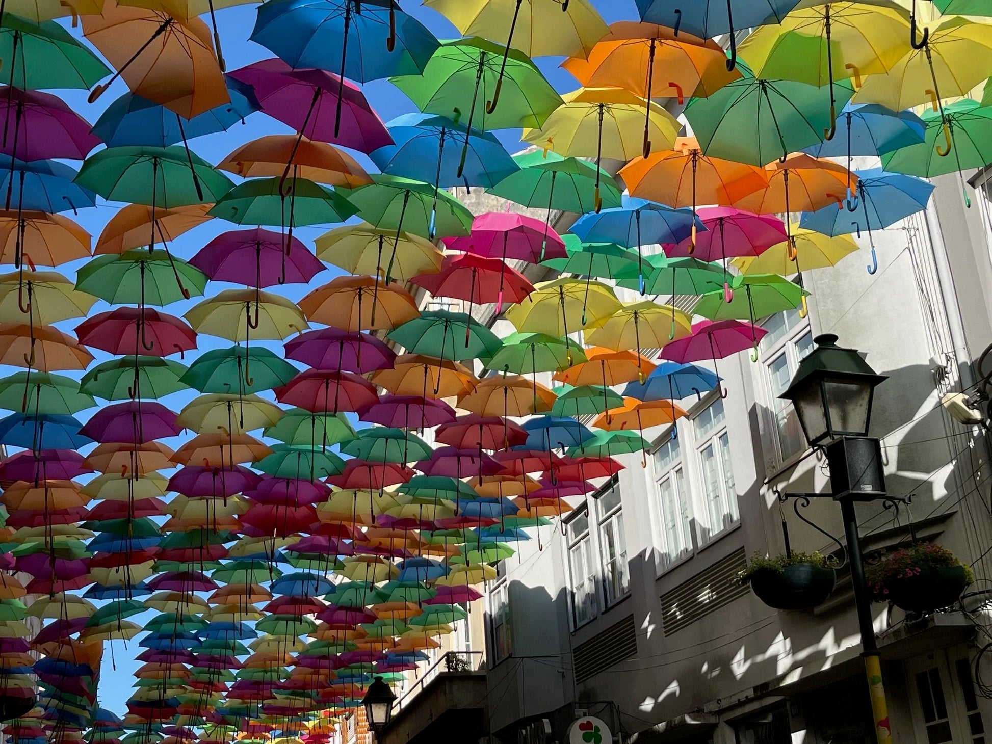 Agueda: City of Umbrellas-27