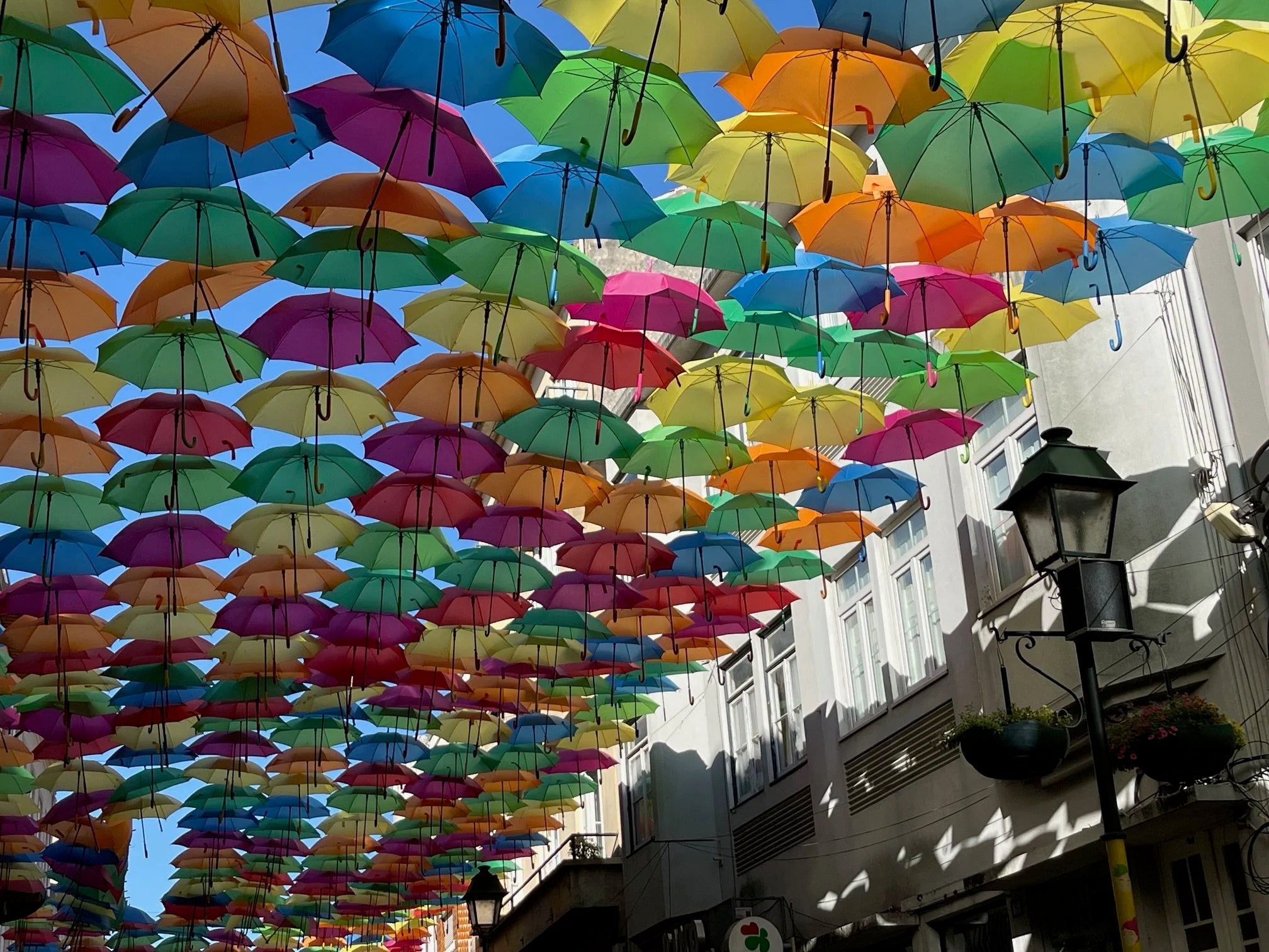 Agueda: City of Umbrellas-zoom-27