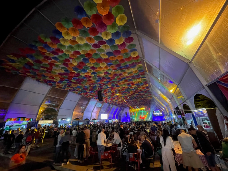Agueda: City of Umbrellas-zoom-